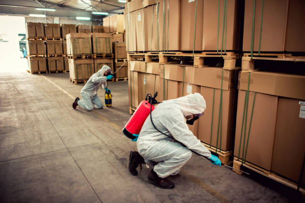Best Cockroach Control Services  in Glendale Heights, IL