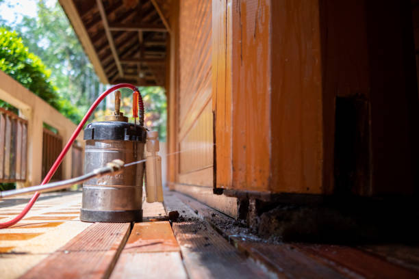Best Best Pest Control Companies  in Glendale Heights, IL