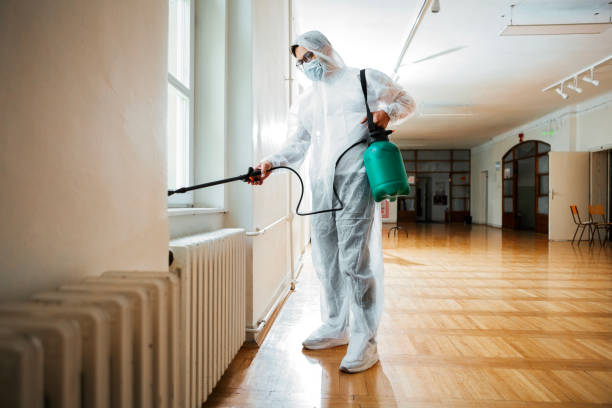 Pest Control for Restaurants in Glendale Heights, IL