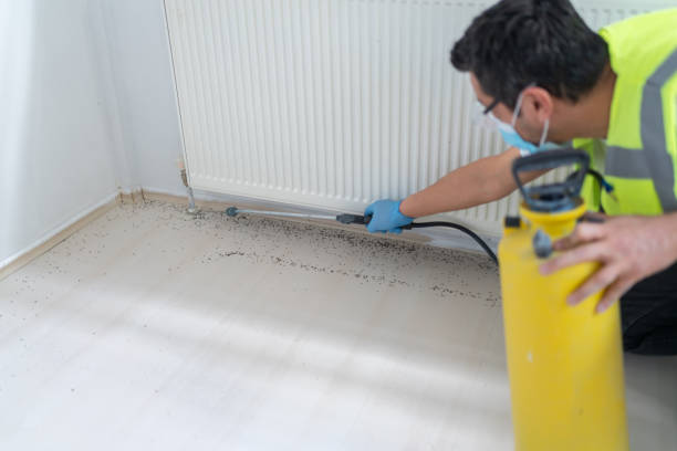  Glendale Heights, IL Pest Control Pros