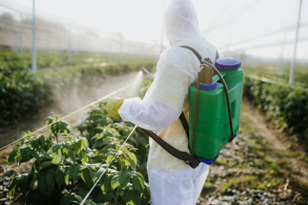 Best Best Pest Control Companies  in Glendale Heights, IL